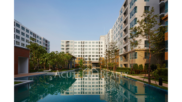 D Condo Nim — photo 3