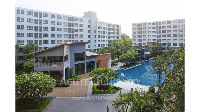 D Condo Nim — photo 2