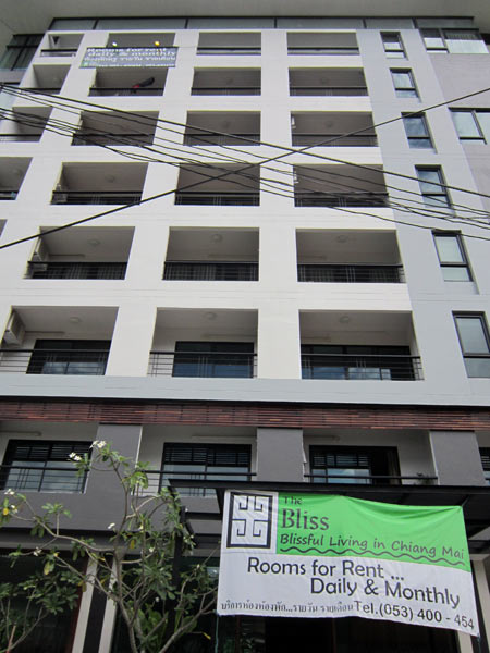 The Bliss — photo 3